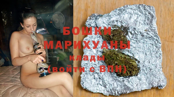 шишки Аркадак